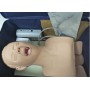 Mannequin  d'Étude d'Intubation PVC avec Dents