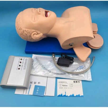 Mannequin d'Étude d'Intubation PVC avec Dents