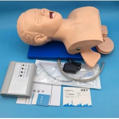 Mannequin d'Étude d'Intubation PVC avec Dents