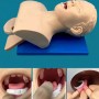 Mannequin  d'Étude d'Intubation PVC avec Dents
