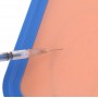 Modèle d'Entraînement à la Ponction Veineuse pour les Infirmières