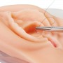 Entraîneur d'épisiotomie et de lacération périnéale