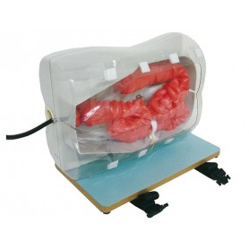 Simulateur pour la coloscopie