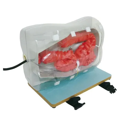 Simulateur pour la coloscopie