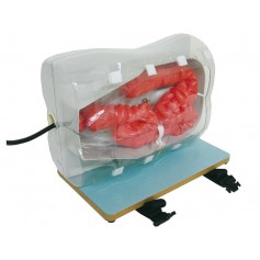 Simulateur pour la coloscopie