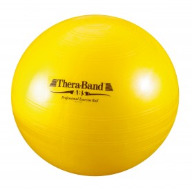 BALLON DE RÉÉDUCATION ABS THERA BAND