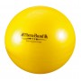 BALLON DE RÉÉDUCATION ABS THERA BAND