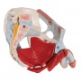 Bassin masculin avec ligaments, vaisseaux, nerfs, plancher pelvien et organes en 7 parties - 3B Smart Anatomy