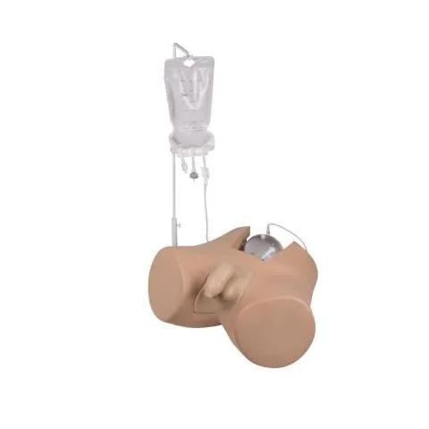 Simulateur cathétérisme avec organes génitaux féminin et masculin