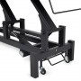 Table de massage stationnaire Fortis 4 ERGO Gris