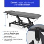 Table de massage stationnaire Fortis 4 ERGO Gris