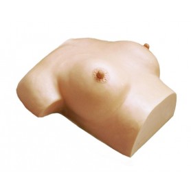Simulateur de Palpation Mammaire Erler Zimmer LM24