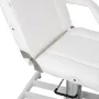 Fauteuil de beauté Theo Bianco – réglage pneumatique et hydraulique