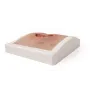 Modèle de plaie décubitus sacré nettoyé Erler Zimmer - Avec support