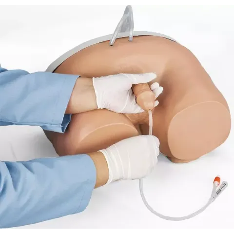 Simulateur de cathétérisme, masculin