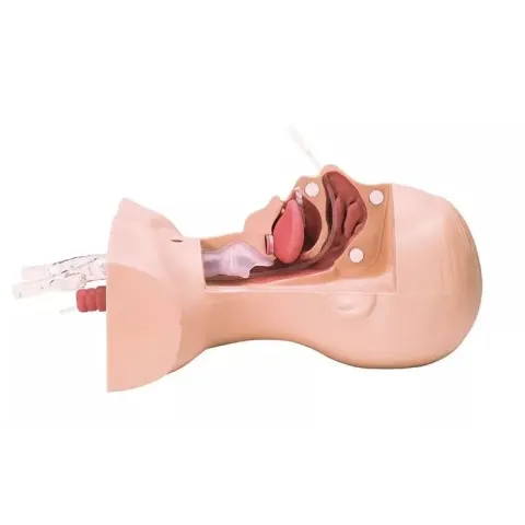 Simulateur de Trachéotomie et Aspiration Bronchique
