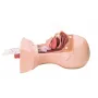 Simulateur de Trachéotomie et Aspiration Bronchique