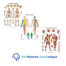 Kit Planche Anatomique