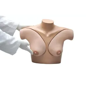 Modèle pour la palpation de cancer du sein