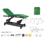 Table d'ostéopathie électrique bielle noire Ecopostural C5626