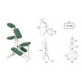 Chaise multi-fonctions Ecopostural T2600