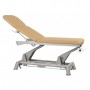 Table électrique Ecopostural 