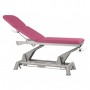 Table électrique Ecopostural 