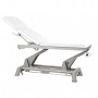 Table électrique Ecopostural 