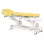 Table de massage électrique Ecopostural