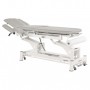 Table de massage électrique Ecopostural