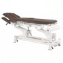 Table de massage électrique Ecopostural