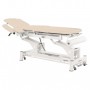 Table de massage électrique Ecopostural