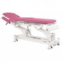Table de massage électrique Ecopostural