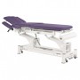 Table de massage électrique Ecopostural