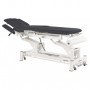 Table de massage électrique Ecopostural