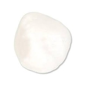 Patella (Rotule), droite 