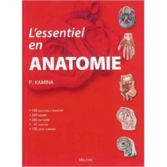 L'essentiel en anatomie