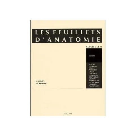 Les feuillets d'anatomie 8: Nerfs membre supérieur