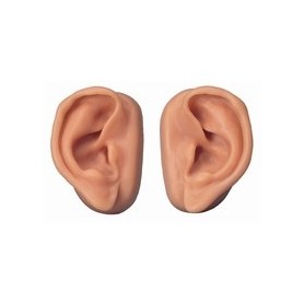 Oreilles pour acupuncture, kit pour 10 étudiants 