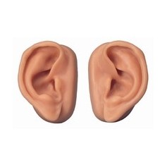 Oreilles pour acupuncture, kit pour 10 étudiants 