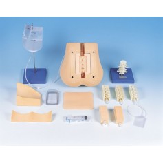 Gamme Complète de Simulation de Ponction Lombaire Erler Zimmer
