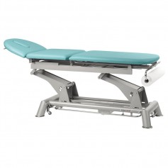 Table de massage électrique 3 plans multi fonctions C5910