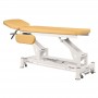Table de massage électrique Ecopostural