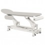 La table de soin electrique Ecopostural C5524