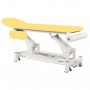 La table de soin electrique Ecopostural C5524