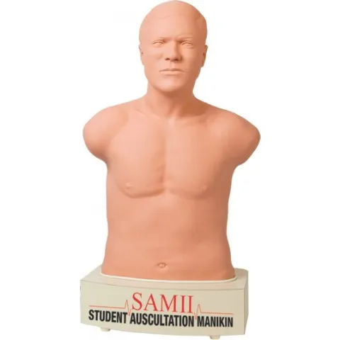 Mannequin d'auscultation Erler Zimmer R60000