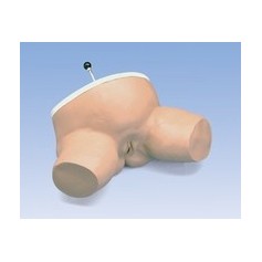 Simulateur d'accouchement 
