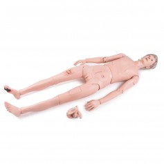 Mannequin de soins 3B Scientific® II