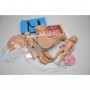 Simulateur d'accouchement 