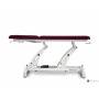 Table électrique Mobercas 2 panneaux avec roulettes 190 x 62 cm